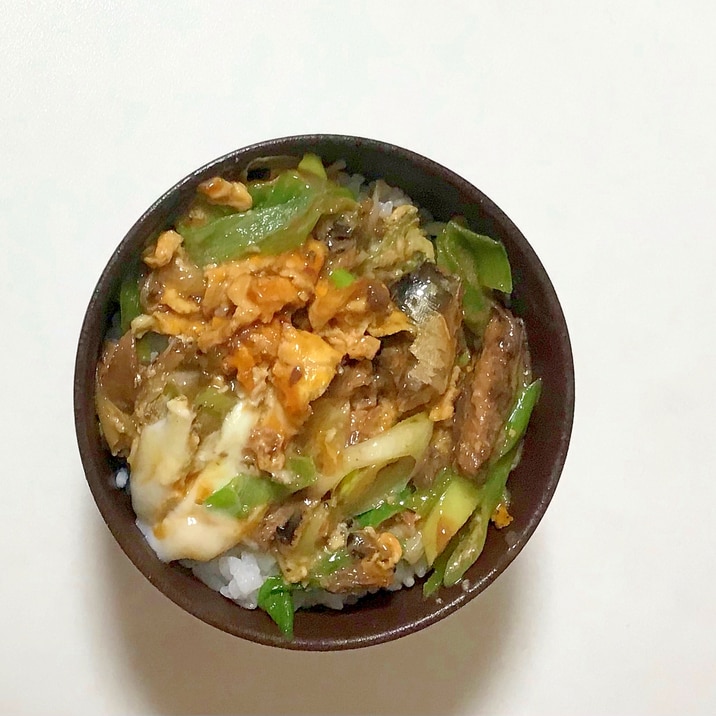 イワシの味噌煮丼